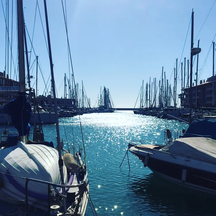 Excursions for a great price!
